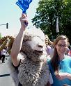 Bild 04